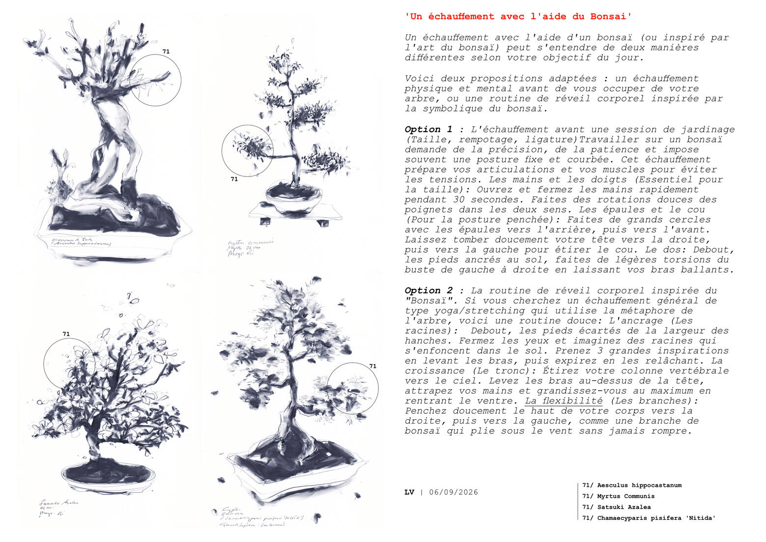 Un échauffement avec l'aide du bonsai.